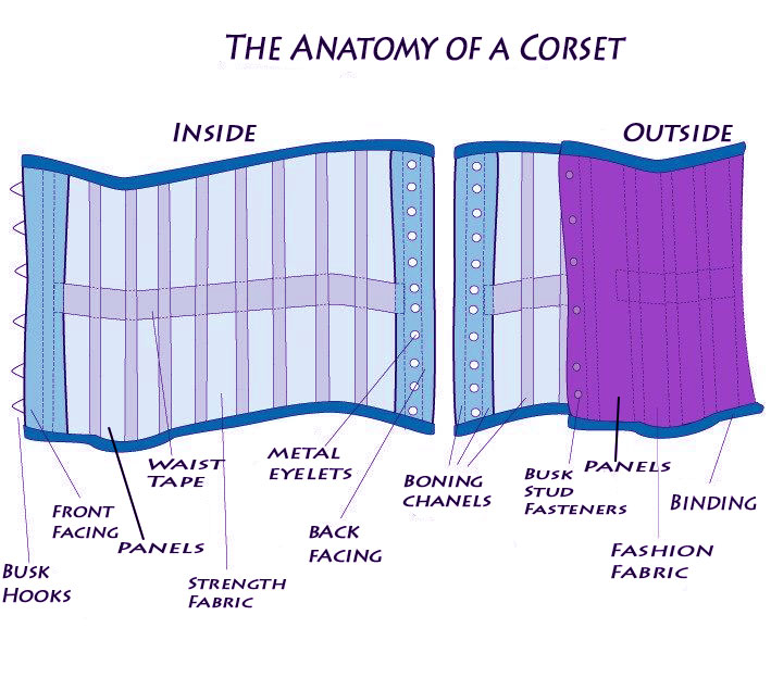 Anatomy of a Corset.