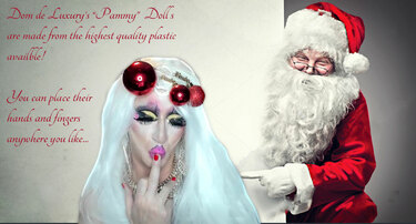 Pic of Beautiful Transgender Girl Modeling Pammy Doll XMAS