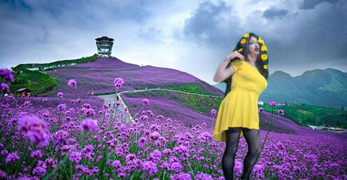 Pic of Beautiful Transgender Girl Modeling Yellow Flowers