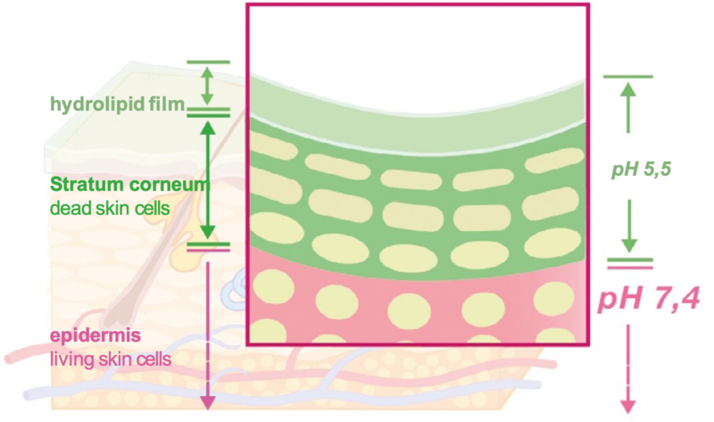 Picture of Acid Mantle