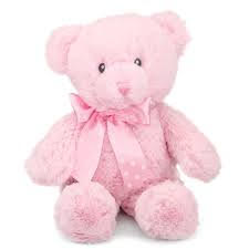 Pink Teddy Bear